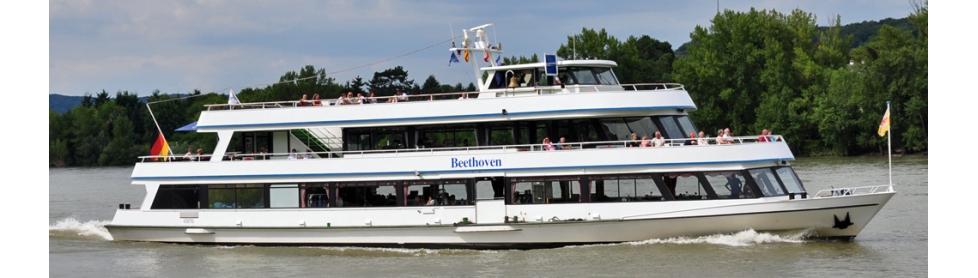 Wechsler 8 Wechsler 8